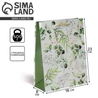 Пакет подарочный ламинированный, упаковка, Present for you, MS 18&times;23&times;8 см