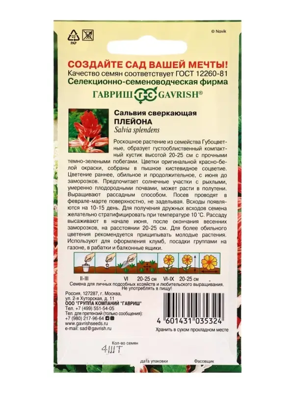 Семена цветов Сальвия Плейона* карликовая  4 шт.