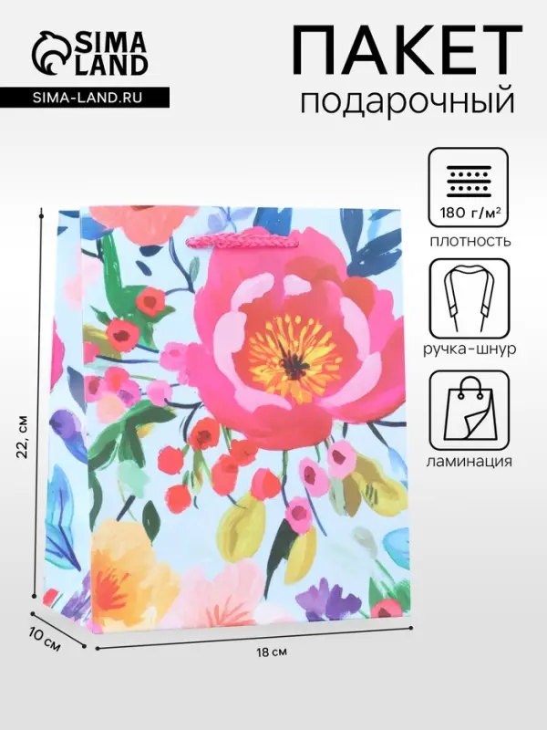 Пакет подарочный ламинированный &laquo;Декор&raquo; 18&times;22.3&times;10 см