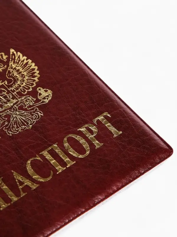 Обложка для паспорта, тиснение золотого цвета, искусственная кожа, бордовая