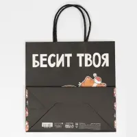 Пакет подарочный новогодний &laquo;Рожа&raquo;, 22 х 22 х 11 см