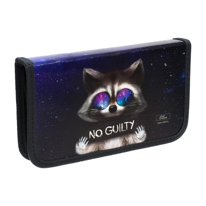 Пенал 1 секция, 115 х 205 мм, с наполнением 16 предметов, Calligrata Пенал 1 секция, 115 х 205 мм, с наполнением 16 предметов, Calligrata "Енот" ламинированный картон, 30П26/set