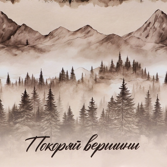 Пакет подарочный крафтовый  Пакет подарочный крафтовый "Покоряй вершины" 27 х 22 х 11 см, 120 г/м²