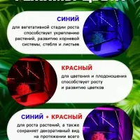Фитосветильник для растений, светодиодный, 36 Вт, 250 мм, IP66, 5 В, USB, прищепка, таймер, биколорный