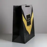 Пакет подарочный ламинированный, упаковка, &laquo;Успехов во всем&raquo;, XL 49&times;40&times;19 см