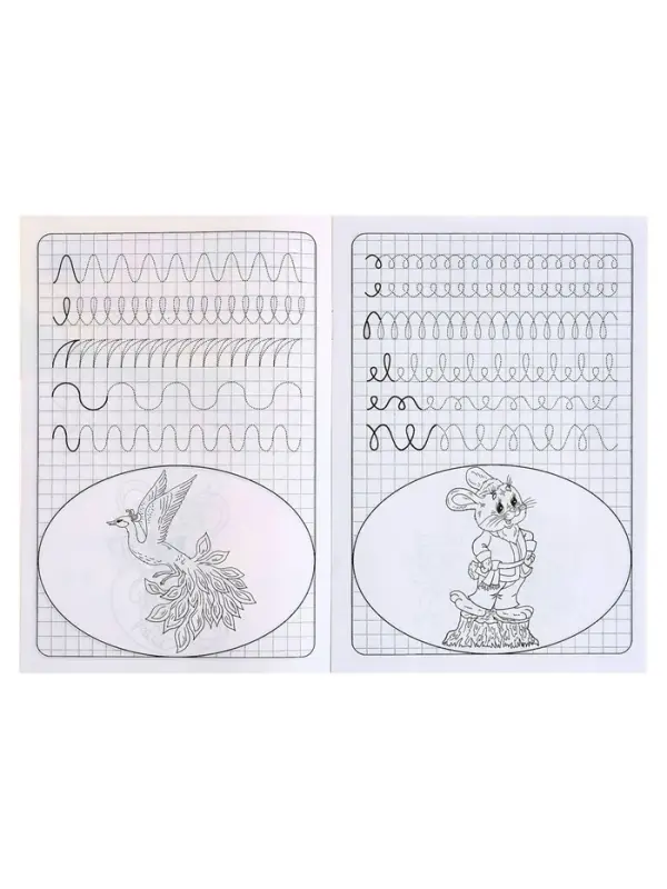 Прописи &laquo;Готовим руку к письму&raquo;