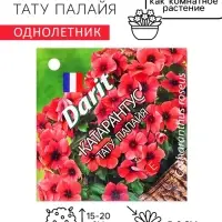 Семена цветов Катарантус "Тату Палайя", 7 шт