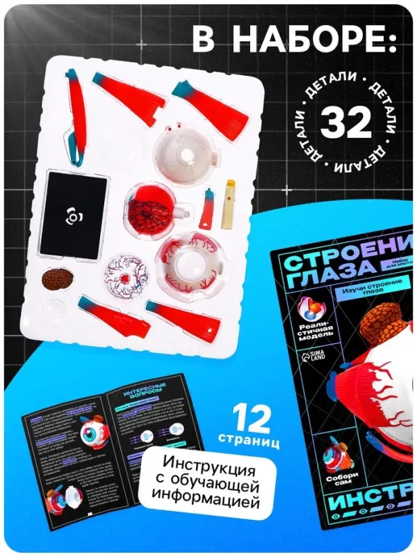Набор для опытов &laquo;Строение глаза&raquo;, анатомическая модель