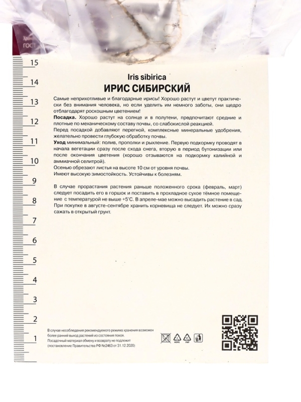 Ирис сибирский Диэ Дилайт, р-р I, 1 шт, Весна 2025 Ирис сибирский Диэ Дилайт, р-р I, 1 шт, Весна 2025