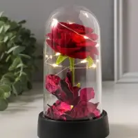 Фигурка световая колба RISALUX &laquo;Красная роза&raquo;, LED-ночник, 3&times;AG10, 8.5&times;8.5&times;15.5 см