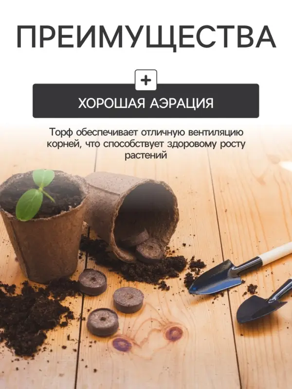 Набор для рассады: торфяной горшок 6×6 см, кассета на 6 ячеек, 17.5×13.5 см, Greengo