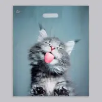 Пакет «Кот», полиэтиленовый, с вырубной ручкой, 38×45 см, 60 мкм