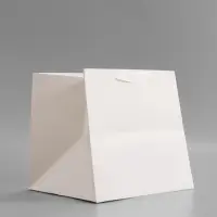 Пакет подарочный, крафт, с окном, &laquo;Белый&raquo;, 25&times;25&times;25 см