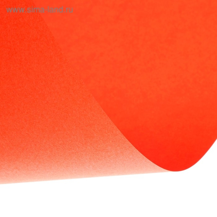 Бумага цветная А4, 12 листов, 12 цветов Calligrata, тонированная в массе, 80 г/м² Бумага цветная А4, 12 листов, 12 цветов Calligrata, тонированная в массе, 80 г/м²