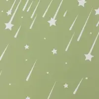 Пленка для цветов, "Звездопад", нежно-зелёная, 57х57 см
