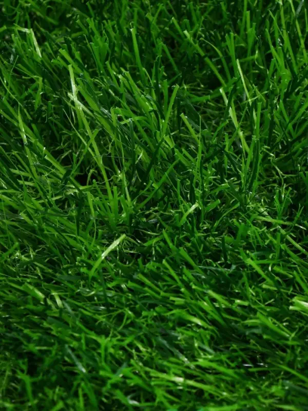 Газон искусственный, для спорта, ворс 40 мм, 1&times;2 м, зелёный, Greengo