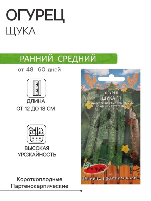 Семена Огурец &laquo;Щука&raquo;, F1, 5 шт., Premium seeds