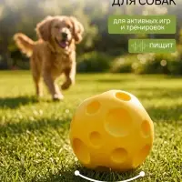 Игрушка для собак с пищалкой &laquo;Мячик планета&raquo;, 6.5 см, желтая