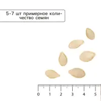 Семена Кабачок цукини &laquo;Негритёнок&raquo;, 1 г, &laquo;Удачные семена&raquo;