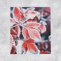 Наклейки-стикеры, набор,«Природа», 6 х 7 см, 50 шт