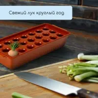 Ящик для выращивания зелёного лука, 40&times;19&times;10 см, 21 лунка, пластик, красный