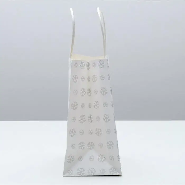 Пакет подарочный новогодний «Ещё один год», 22 х 22 х 11 см Пакет подарочный новогодний «Ещё один год», 22 х 22 х 11 см