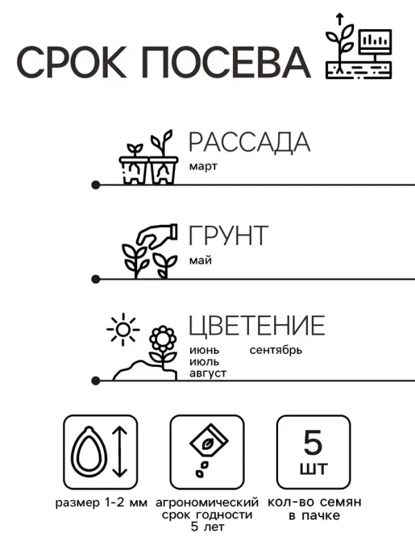 Семена цветов Пеларгония "Дансер Ворвик", смесь окрасок, F2, 5 шт.