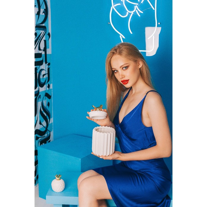 Банка керамическая для сыпучих продуктов Доляна &laquo;Золотое крыло&raquo;, 1,2 л, 12&times;21 см, керамическая, цвет белый