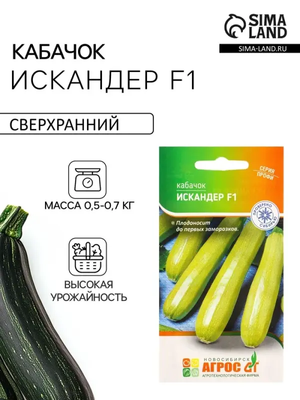 Семена Кабачок "Искандер" F1 5 шт