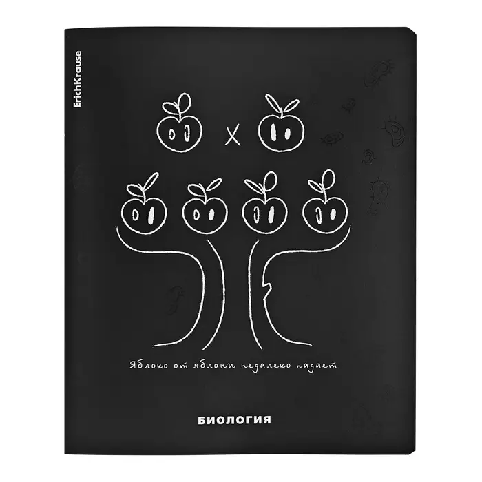 Набор предметных тетрадей ErichKrause &laquo;Зри в корень&raquo;, 12 предметов, 48 листов, со справочным материалом, пластиковая обложка