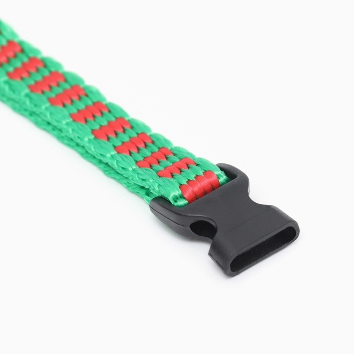 Ошейник Ошейник "Подарки", 30 х 1 см, капрон, красный