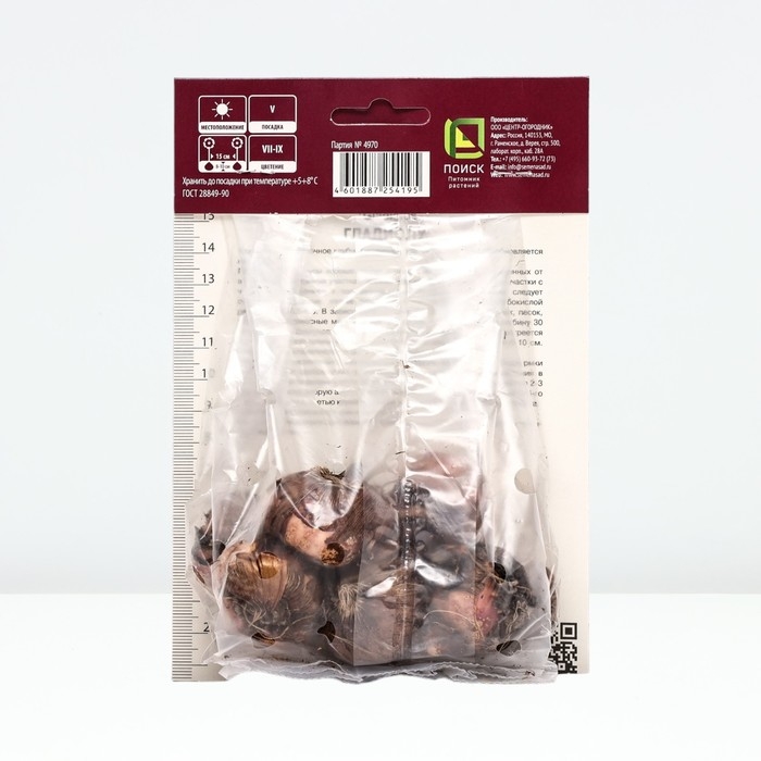 Гладиолус крупноцветковый «Малер», луковица цветов в пакет с перфорацией, р-р 10/12, 10 шт.