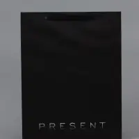 Пакет ламинированный вертикальный Present, 33&times;42&times;10 см