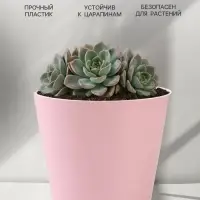 Кашпо для цветов &laquo;Цвет&raquo;, 800 мл, d=12 см, h=11 см, пластиковое