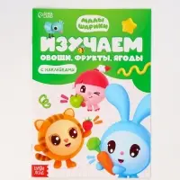 Книги «Годовой курс», набор 12 книг, Малышарики Книги «Годовой курс», набор 12 книг, Малышарики