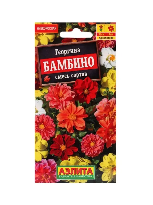 Набор Семена цветов Георгины махровая низкорослая (238760048) ВБ