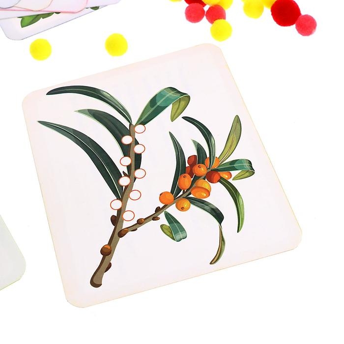 Развивающий набор «Учим растения» Развивающий набор «Учим растения»