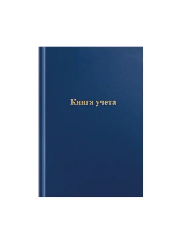 Книга учета, 192 листа, обложка бумвинил, блок газетный, клетка, синяя