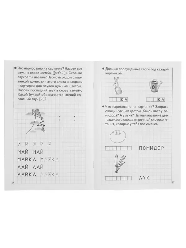 Рабочая тетрадь для детей 5-6 лет &laquo;Развиваем навыки чтения и грамотного письма&raquo;, 2 часть, Бортникова Е.
