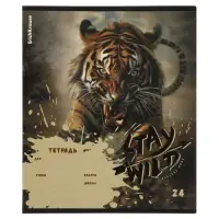 Тетрадь 24 листа в линейку ErichKrause Stay Wild, 60 г/м&sup2;, обложка мелованный картон, МИКС