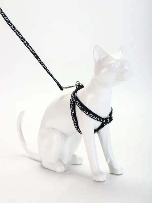 Шлейка с поводком &laquo;Жираф&raquo;, ширина 1 см, поводок 120 см, шлейка 23-35 см, чёрная, белая