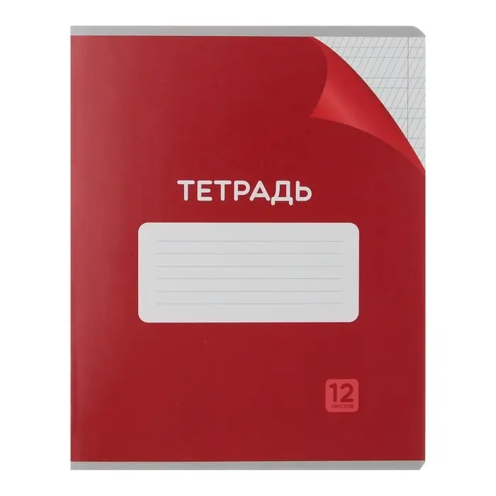 Комплект тетрадей из 10 штук, 12 листов в частую косую линию Calligrata "Однотонная Классика с уголком. Эконом", обложка мелованный картон, ВД- лак, блок №2, белизна 75% (серые листы), 5 видов по 2 штуки