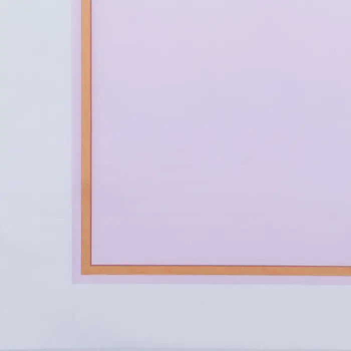 Плёнка для цветов, 57 х 57 см