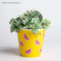 Набор кашпо для цветов 3 в 1 «Фрукты», 0,8 л, 11 х 12 см Набор кашпо для цветов 3 в 1 «Фрукты», 0,8 л, 11 х 12 см