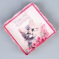Коробка для печенья, кондитерская упаковка с PVC крышкой, «Котёнок», 10.5 х 10.5 х 3 см