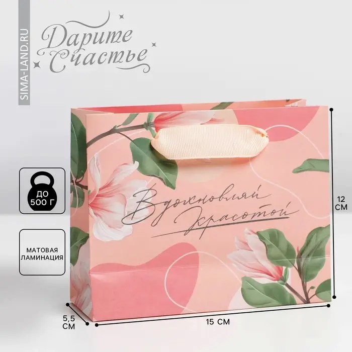 Пакет подарочный ламинированный, упаковка, «Вдохновляй», S 12 х 15 х 5.5 см Пакет подарочный ламинированный, упаковка, «Вдохновляй», S 12 х 15 х 5.5 см