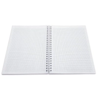 Бизнес-тетрадь А5, 120л. клетка, спираль мягк.перепл. Golden sun пара N2593