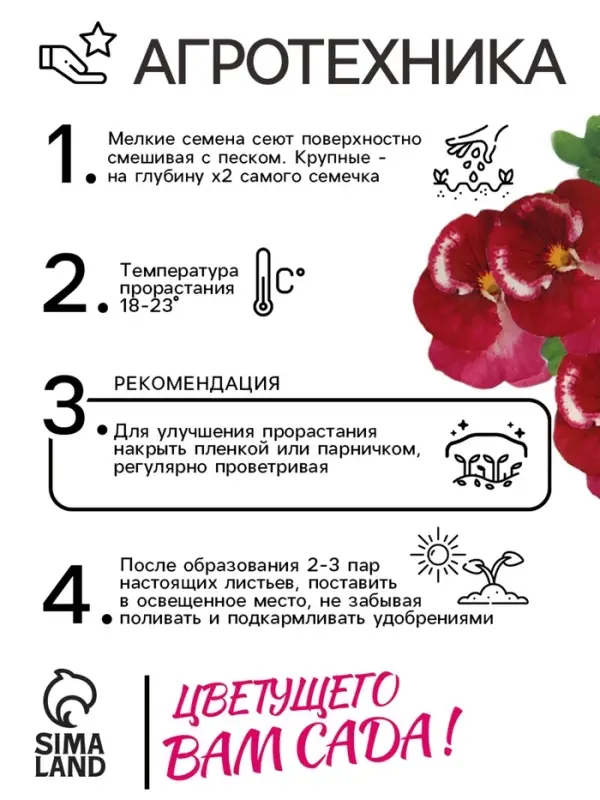 Семена Виола  Семена Виола "Клубничный профитроль", ц/п,  F1, 5 шт,