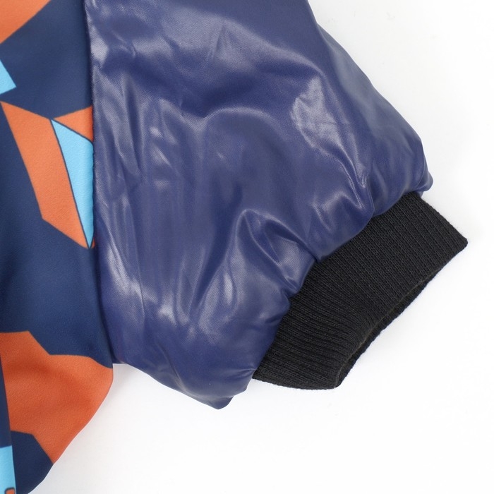 Комбинезон для собак на меховом подкладе с капюшоном, размер M  (ДС 26, ОШ 32, ОГ 44 см Комбинезон для собак на меховом подкладе с капюшоном, размер M  (ДС 26, ОШ 32, ОГ 44 см