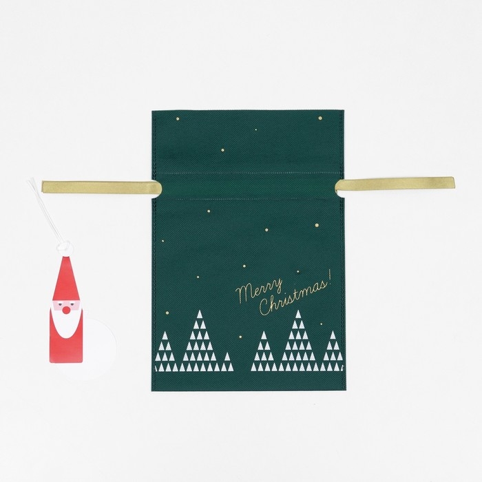 Новый год. Мешок подарочный Новый год. Мешок подарочный "Волшебный лес" зелёный, 20 x 30 см
